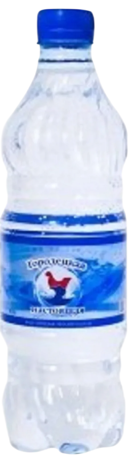 Вода ГОРОДЕЦКАЯ НАСТОЯЩАЯ негазированная 0.5л (12)